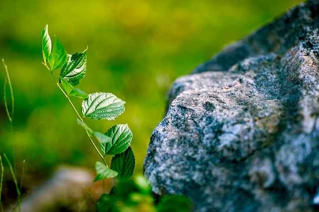 Jak rozpoznać naturalne aromaty w INCI – unikalne sposoby identyfikacji