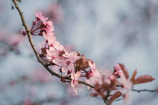 Szok termiczny desek kompozytowych: objawy i testy